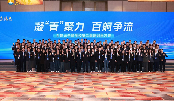 凝“青”聚力，百舸争流 | 500网干部学校2024年第二届培训学习班圆满结束